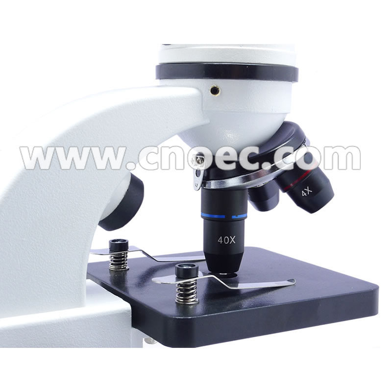 Portable Biological Microscope