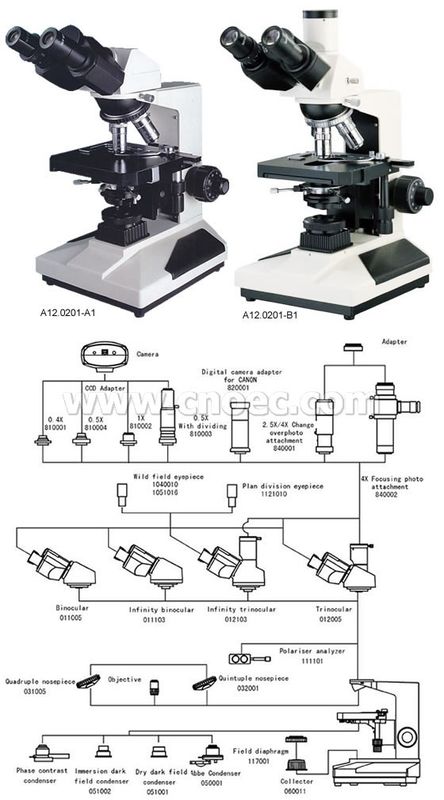 Binocular Head Plan Achromatic Objective Biological Compound Microscope 1000X A12.0201